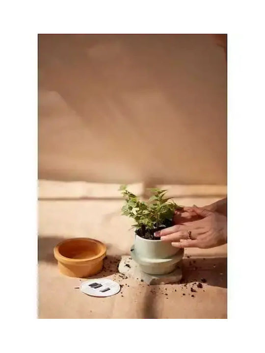 Green Decorative Candle in Jar Green 326g