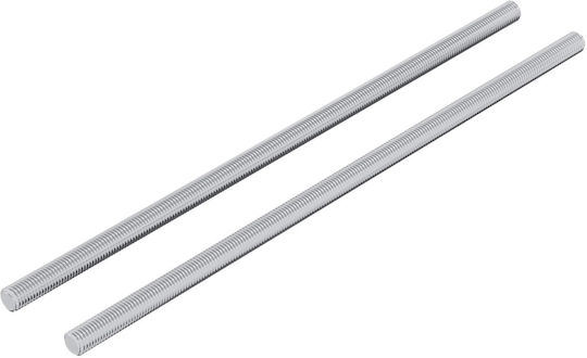 vidaXL Screw with Diameter M6 and Length 170mm 2 Pieces