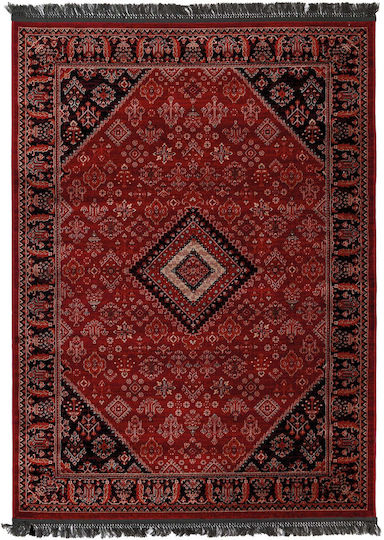 Royal Carpet Afgan