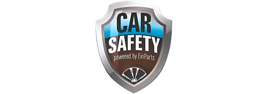 Carsafety Car Cleaning Brush for Car Tires