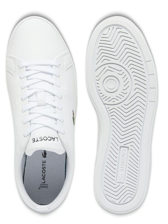 Court Women's Sneakers Wht /
