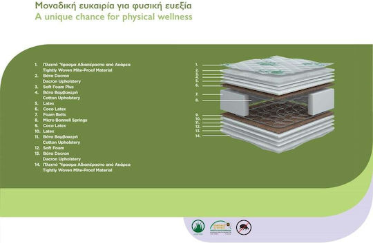 Chic Strom Eco Pure Bio Comfort Plus Διπλό Ορθοπεδικό Στρώμα Foam / Latex 140x190x21cm με Ελατήρια