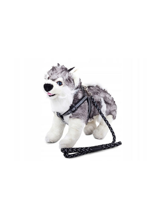 Hundegeschirre Leine Set Schwarz Fluoreszierend 106x1.2 Cm