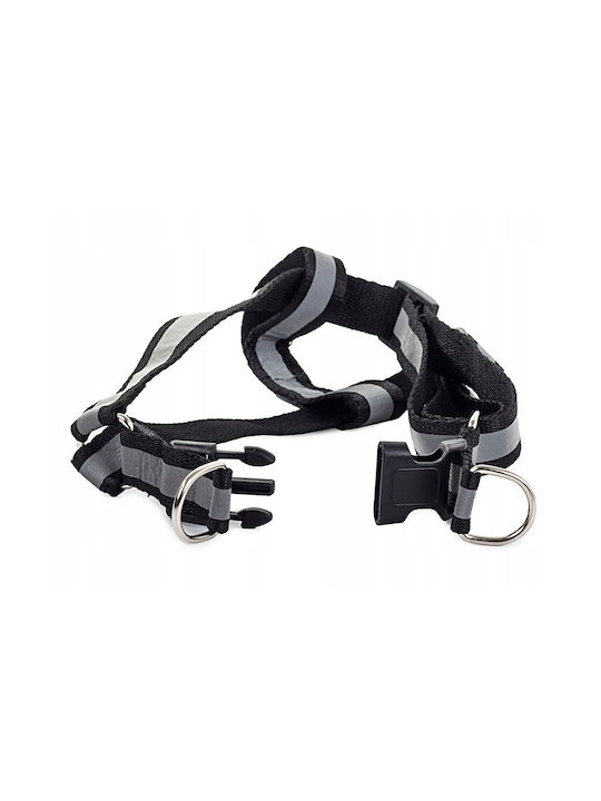 Hundegeschirre Leine Set Schwarz Fluoreszierend 106x1.2 Cm