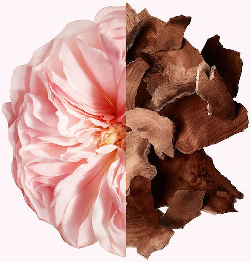 Givenchy Parfum de Păr 35ml