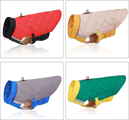 Red Dog Coat with 40cm Back Length