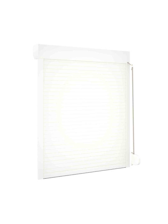 vidaXL Aluminum Roll Shutter W110xH130cm
