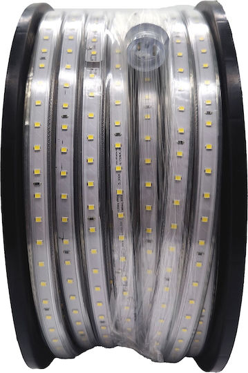 123led Ταινία LED Ψυχρό Λευκό Φως