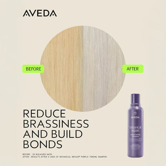 Aveda Botanical Shampoos Reconstruction/Nourishment for Damaged Hair 200ml