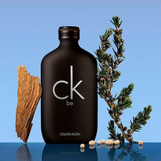 Calvin Klein Eau de Toilette 100ml