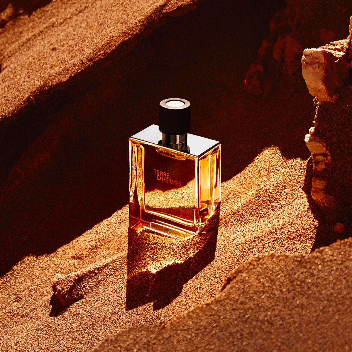 Hermes Terre D' Hermes Pure Parfum 200ml