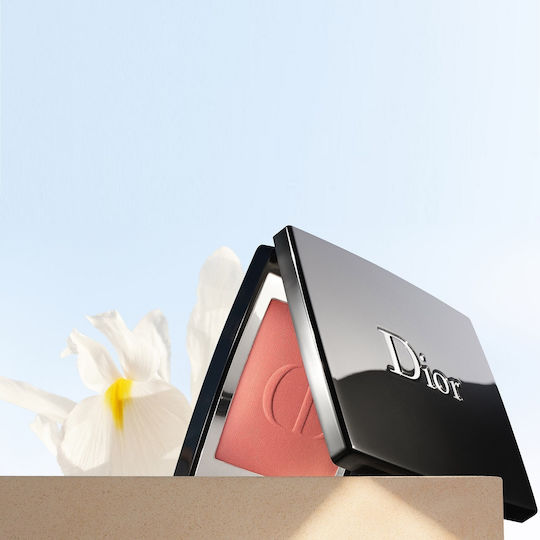 Dior Cheek And Cheekbone Руж 100 INT22 6гр