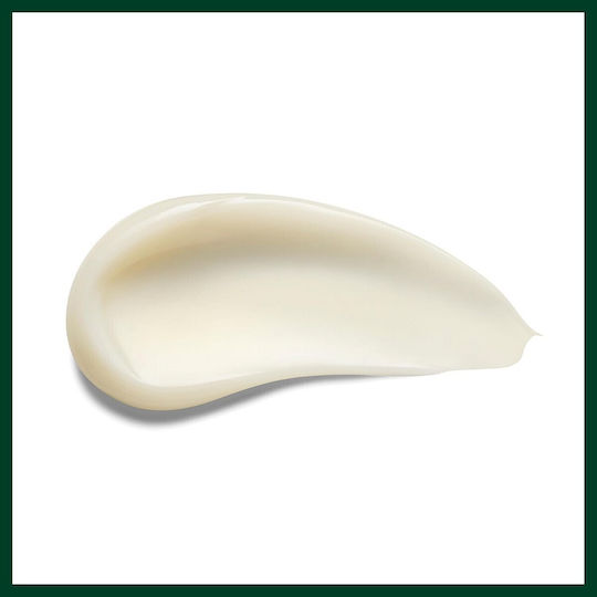 Aveda Rosemary Mint Weightless Conditioner Όγκου για Όλους τους Τύπους Μαλλιών 250ml