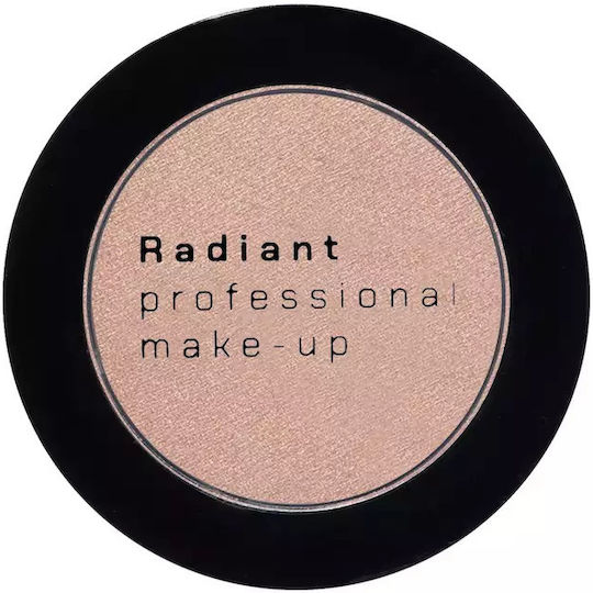 Professional Color Basic Eye Shadow in Solid Form 196 Champaign 4gr