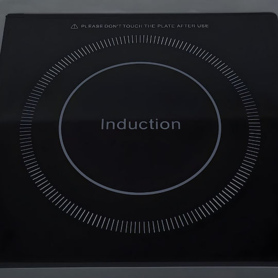 Dynamic Inductive Electric Burner 30x30x