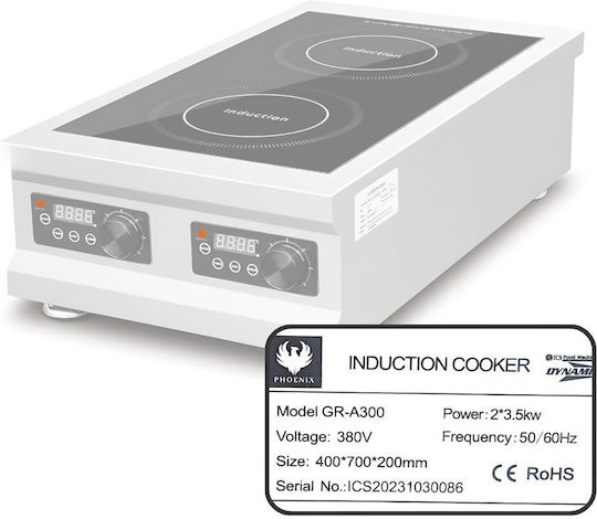 Dynamic Inductive Electric Burner 30x30x