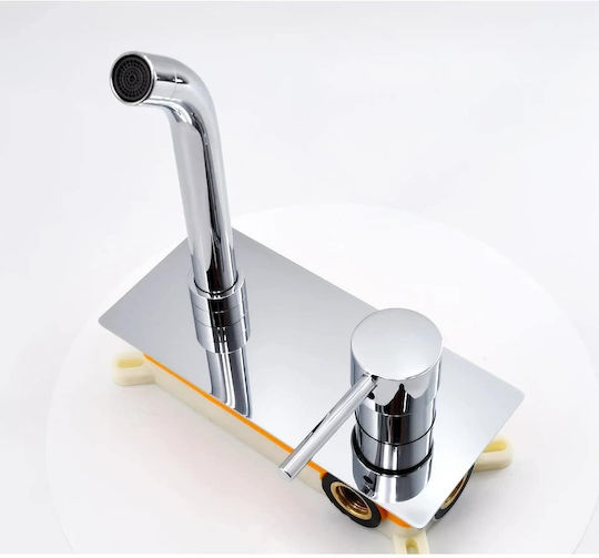 Set De Mixere Și Guriță Încorporate Pentru Lavabo Argintiu