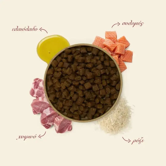 Ethelia Coat & Skin For Adult & Puppies 1.5kg Dry Food For Adult Dogs With Pork And Salmon