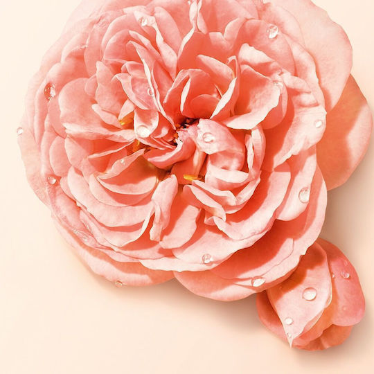 Giorgio Armani Si Nude Bloom Eau de Parfum 50ml