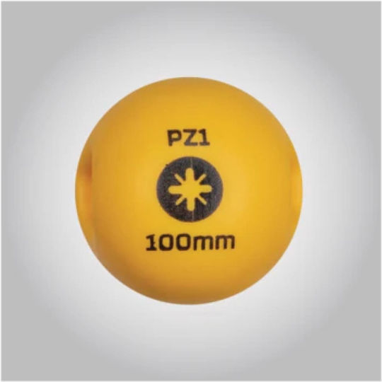 Benman Electrician 1000V Screwdriver Star Size Pz2x100mm