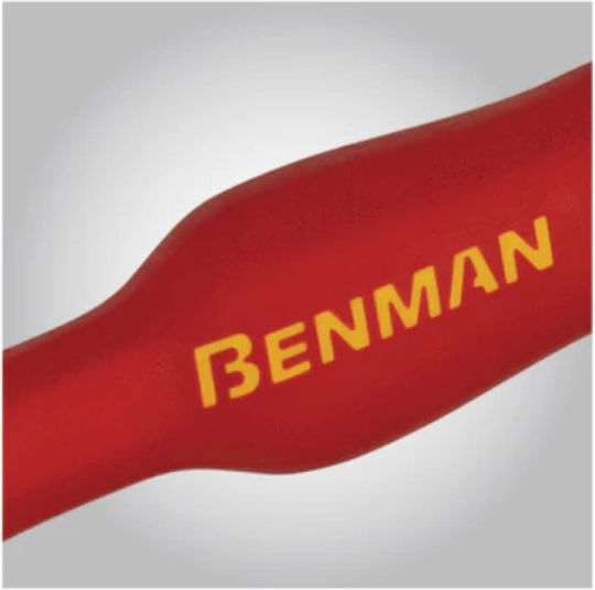 Benman Electrician 1000V Screwdriver Star Size Pz2x100mm
