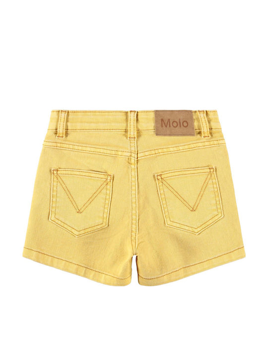 Molo