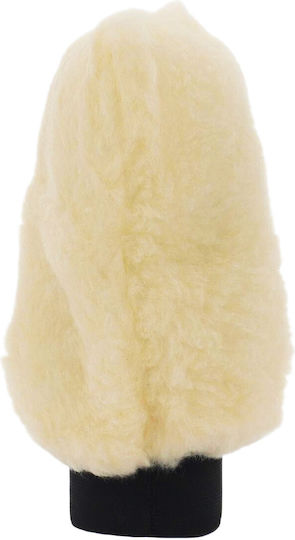 Carsafety General Purpose Sponge for Body