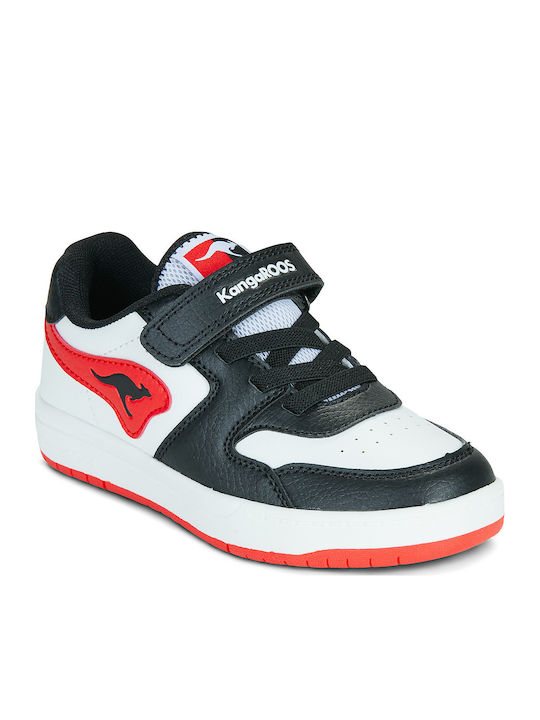 Kangaroos