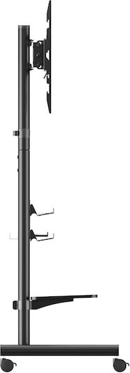 Equip 650635 Floor TV Mount Up to 60kg Black