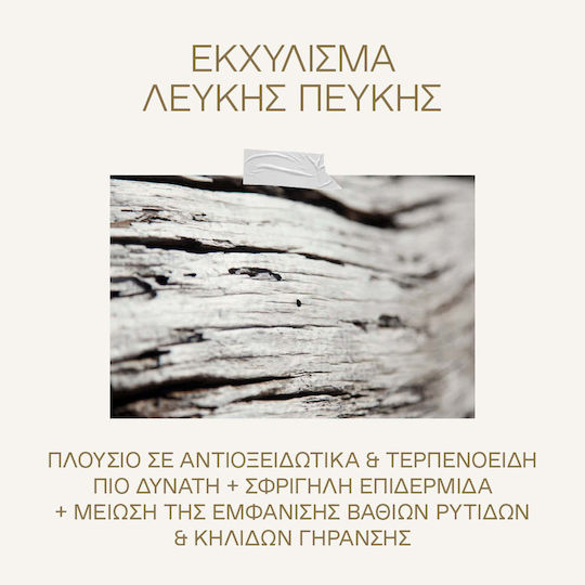 Korres White Pine Ενυδατική Κρέμα Προσώπου Ημέρας με Πεπτίδια 40ml