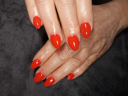 Amora Gel Nagellack 142 10ml