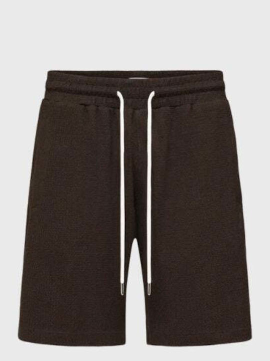 Herren Shorts Braun