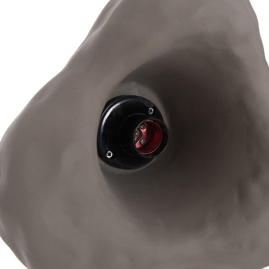 HomeMarkt Luxon Wall Lamp with E27 Socket Grey 28x15cm