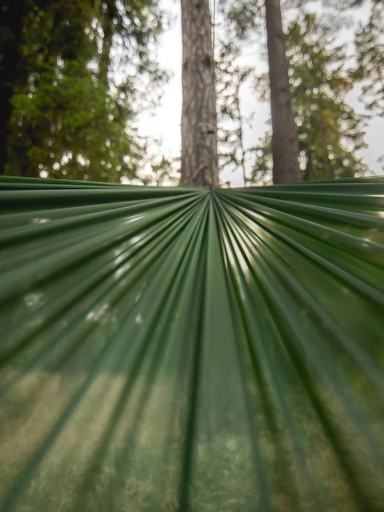 Lesovik Sul Fabric Green Hammock 300x145cm