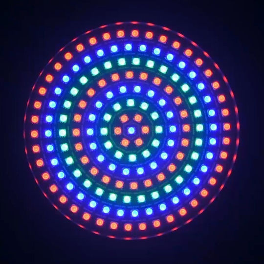 Ibiza Light Par Led Rgb 175 Leds Matrix