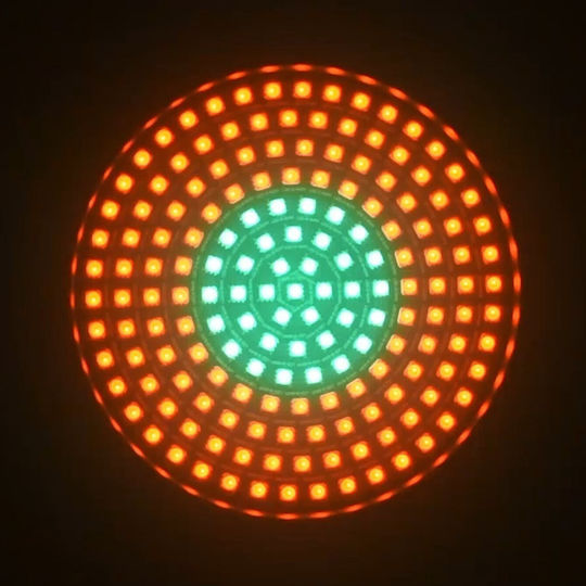 Ibiza Light Par Led Rgb 175 Leds Matrix