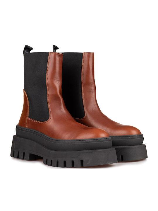 Steve Madden Women's Ankle Boots Brown