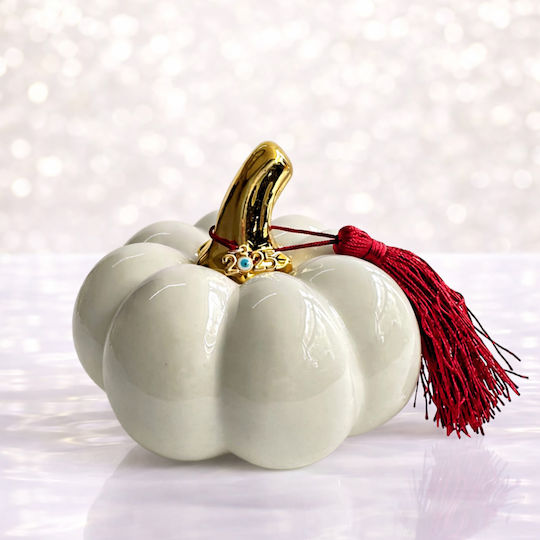 Pumpkin Ceramic 6 Pieces
