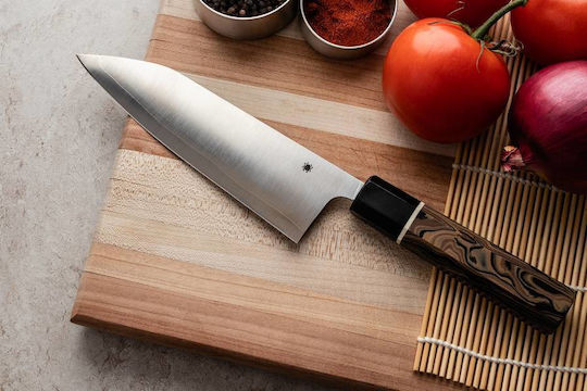 Spyderco Gray Knife in Sheath