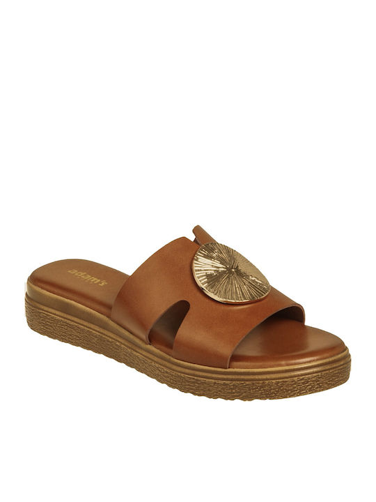 Adam's Shoes