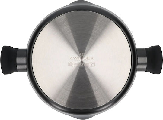 Zwieger Korra Tiefes Aluminium Dampfkochtopf 3,9l / 14cm