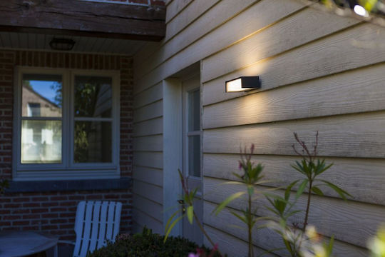 Lutec Telis Wall Mounted Solar Light Warm White 3000K with Photocell