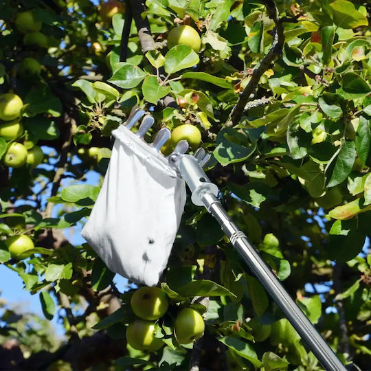 Telescopic Fruit Picker Zola 4 Interchangeable Heads 400 Cm Storage Bag Silver