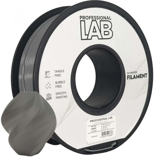 Professional Lab HS-PLA 3D Drucker Filament 1,75mm Grau 1kg