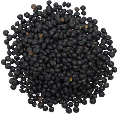 Ospria CHasion Organic Black Beluga Lentils 500g 18669
