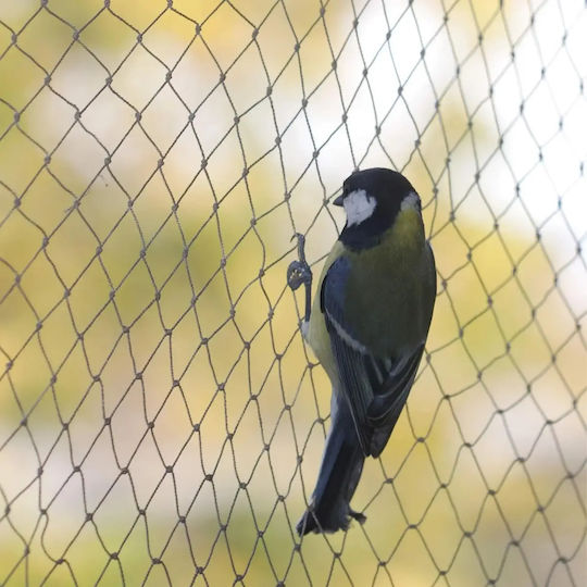 Plasă De Repelare Pentru Păsări Pisici Rozătoare 3x4m