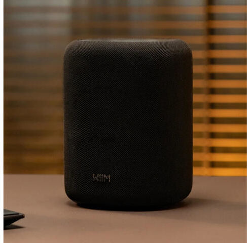 Smart Speaker Wiim Sound Lite Microphone Voice Assistant Control Wi-fi Bluetooth Black