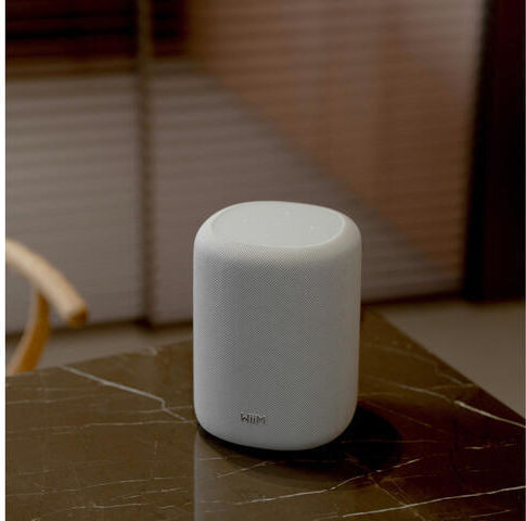 Smart Speaker Wiim Sound Lite Microphone Voice Assistant Control Wi-fi Bluetooth White