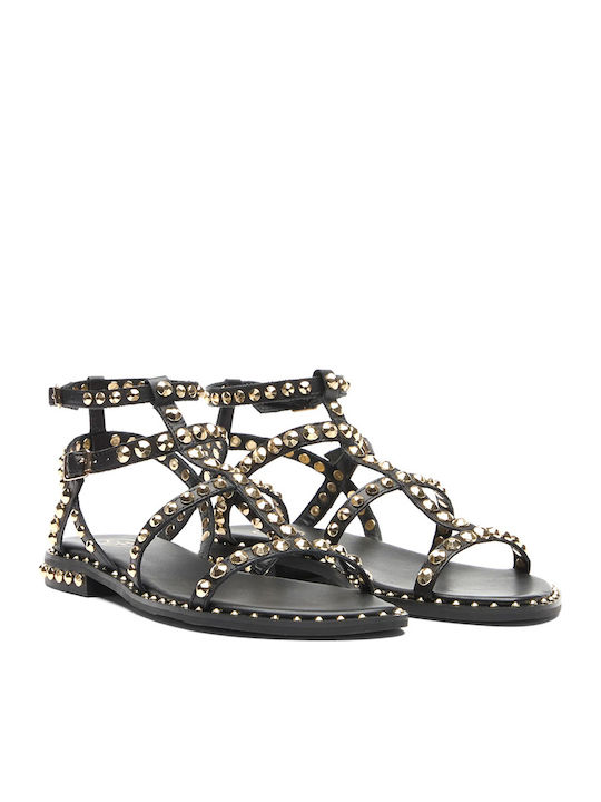 Precious09 Women's Flat Sandals Black