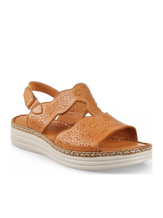 Air Anesis